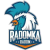 Radomka Radom