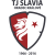 TJ Slavia Hradec Kralove