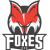 HC Interspar Bolzano-Bozen Foxes