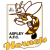 Aspley Hornets