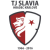 TJ Slavia Hradec Kralove