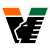 Venezia Football Club