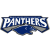 South Adelaide Panthers