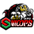 Gifu Swoops